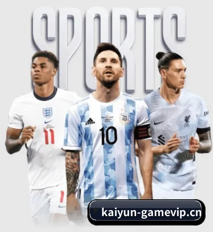 开云体育sportvip APP