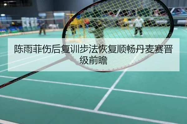 陈雨菲伤后复训步法恢复顺畅丹麦赛晋级前瞻