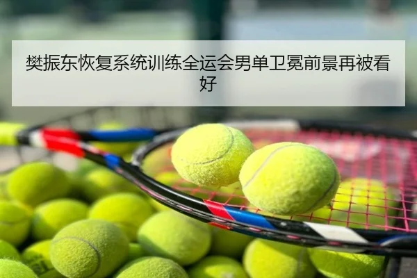樊振东恢复系统训练全运会男单卫冕前景再被看好
